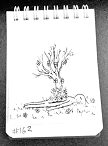 Daily Drawing 162