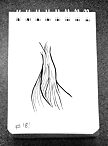Daily Drawing 181