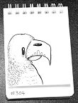 Daily Drawing 304