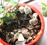 collection of small stones with faces and figures drawn on them in a red plant pot